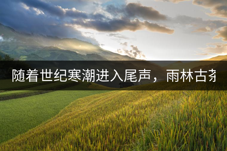 隨著世紀(jì)寒潮進(jìn)入尾聲，雨林古茶坊