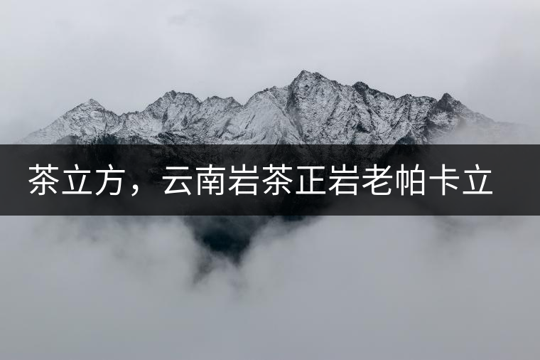 茶立方，云南巖茶正巖老帕卡立方磚今日芳香出爐