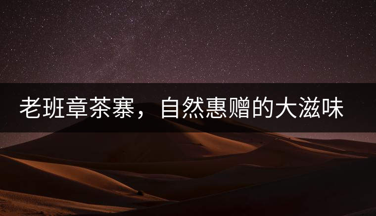 老班章茶寨，自然惠贈的大滋味，大滿足