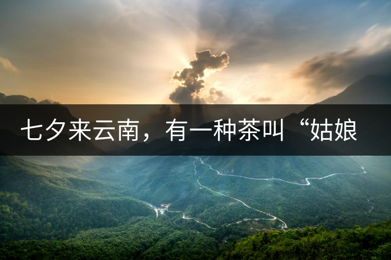 七夕來云南，有一種茶叫“姑娘茶”，也許你就能遇上