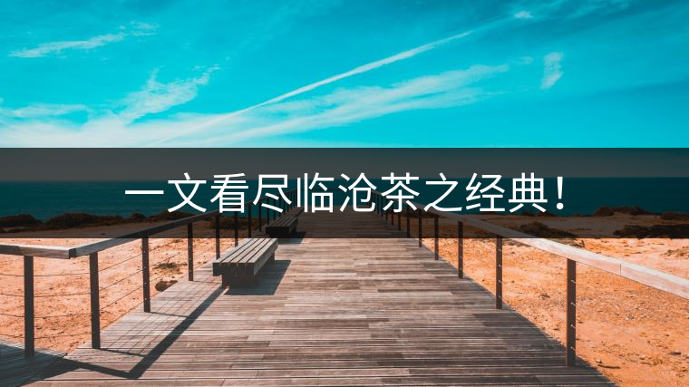 一文看盡臨滄茶之經(jīng)典！