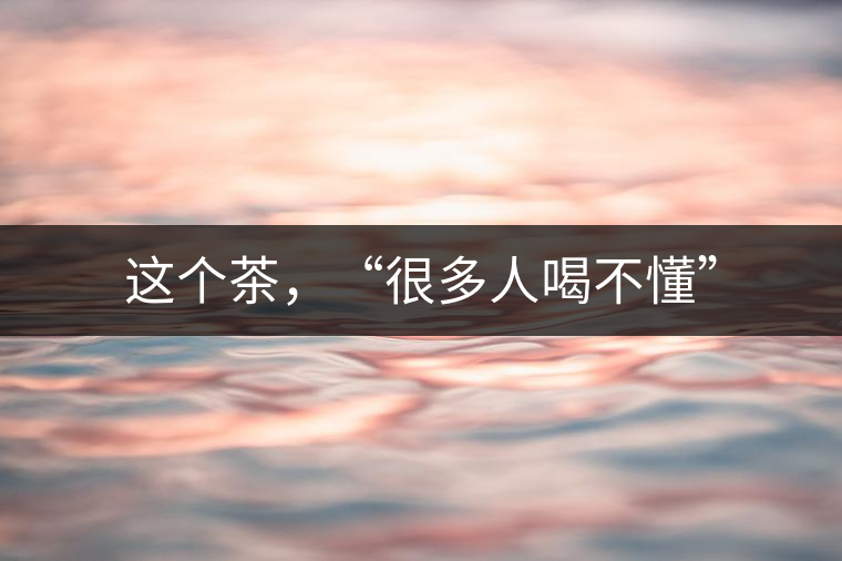 這個茶，“很多人喝不懂”