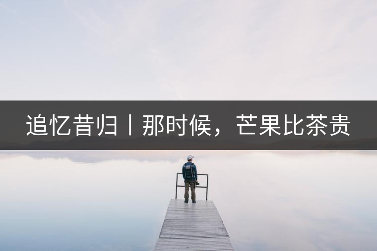 追憶昔歸丨那時候，芒果比茶貴