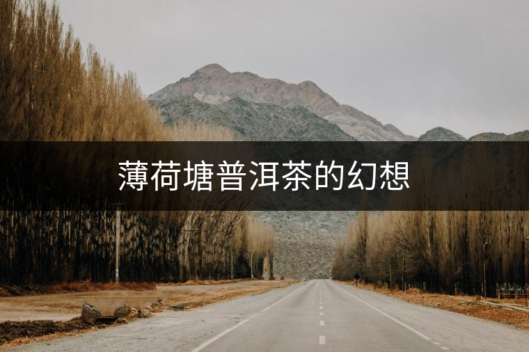 薄荷塘普洱茶的幻想 薄荷塘普洱茶的幻想