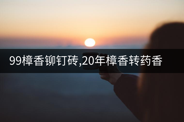 99樟香鉚釘磚,20年樟香轉(zhuǎn)藥香老茶頭,厚重飽滿溫潤(rùn)綿長(zhǎng),一款口感醇厚的老牌茶品! 99樟香鉚釘磚,20年樟香轉(zhuǎn)藥香老茶頭,厚重飽滿溫潤(rùn)綿長(zhǎng),一款口感醇厚的老牌茶品!