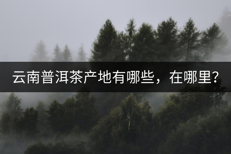 云南普洱茶產(chǎn)地有哪些，在哪里？