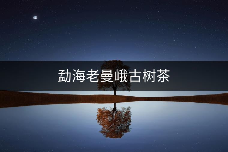 勐海老曼峨古樹(shù)茶 勐海老曼峨古樹(shù)茶