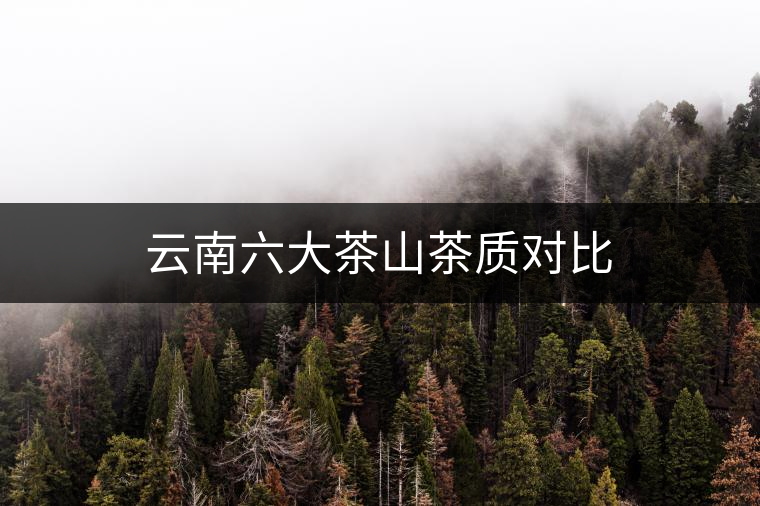 云南六大茶山茶質(zhì)對(duì)比 云南六大茶山茶質(zhì)對(duì)比