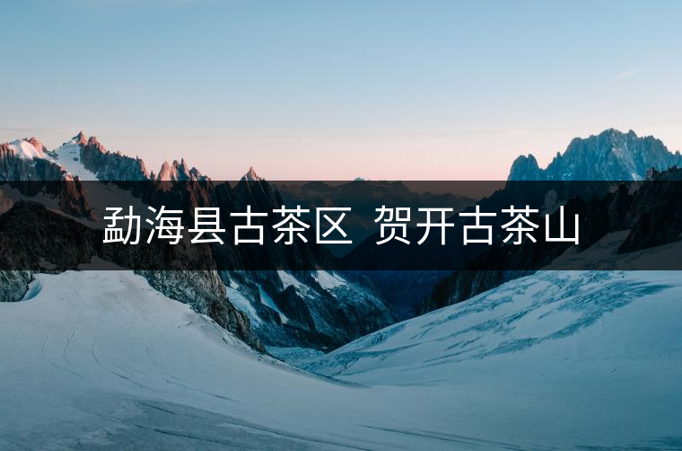 勐?？h古茶區(qū)  賀開古茶山