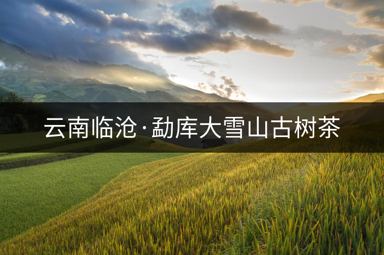 云南臨滄·勐庫大雪山古樹茶 云南臨滄·勐庫大雪山古樹茶