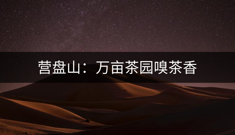 營(yíng)盤山:萬(wàn)畝茶園嗅茶香 營(yíng)盤山:萬(wàn)畝茶園嗅茶香