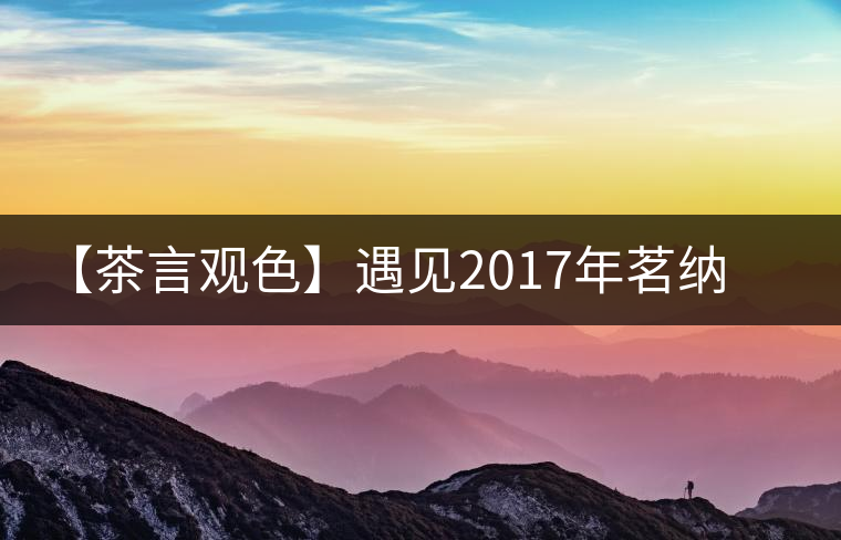 【茶言觀色】遇見2017年茗納百川四星易武 【茶言觀色】遇見2017年茗納百川四星易武