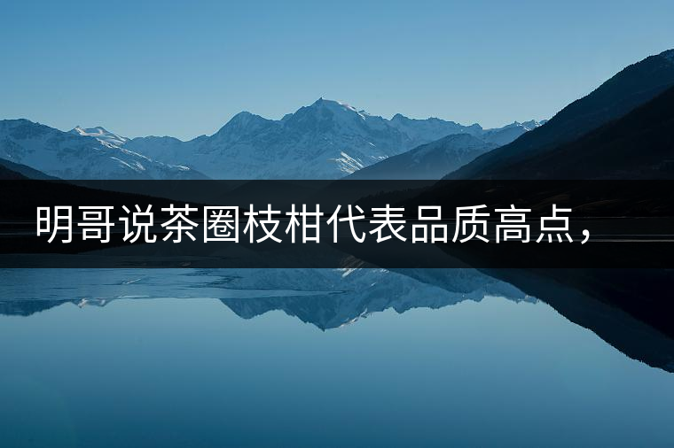 明哥說(shuō)茶圈枝柑代表品質(zhì)高點(diǎn)，是玩家級(jí)的產(chǎn)品