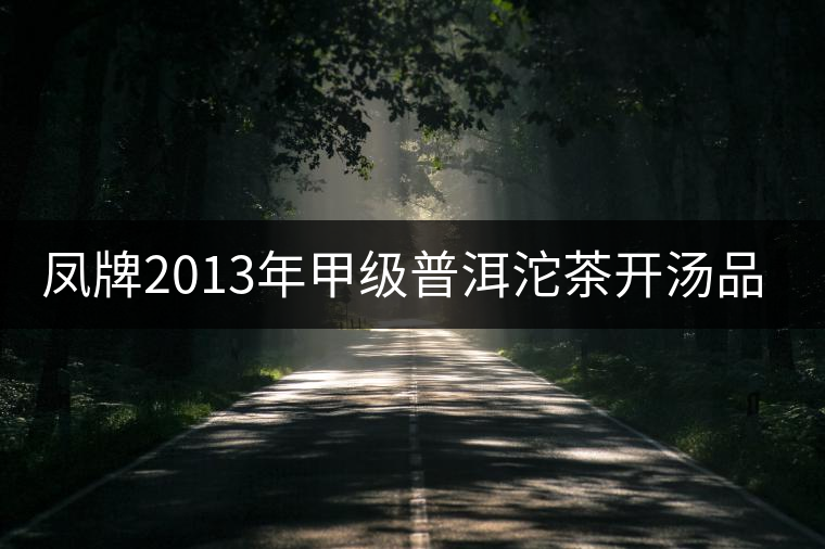 鳳牌2013年甲級(jí)普洱沱茶開湯品鑒 鳳牌2013年甲級(jí)普洱沱茶開湯品鑒