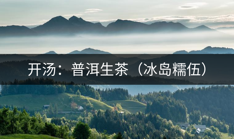 開湯:普洱生茶(冰島糯伍) 開湯:普洱生茶(冰島糯伍)