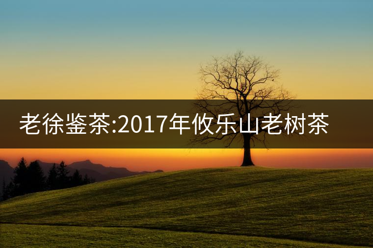 老徐鑒茶:2017年攸樂(lè)山老樹(shù)茶品鑒報(bào)告 老徐鑒茶:2017年攸樂(lè)山老樹(shù)茶品鑒報(bào)告