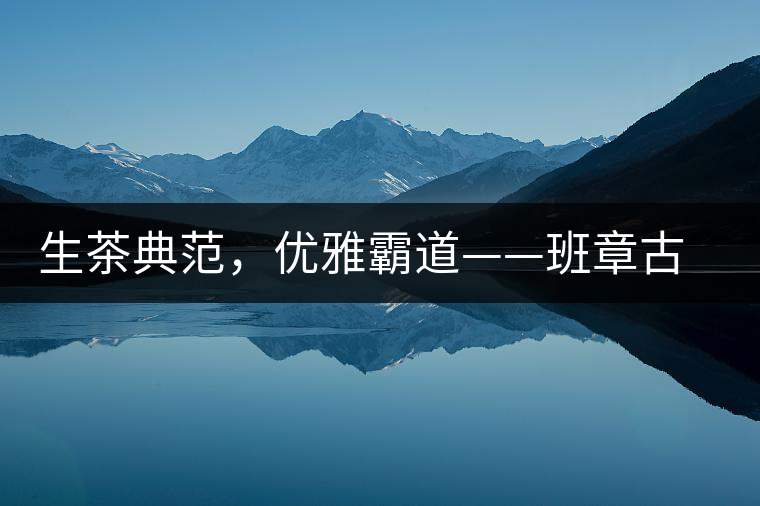 生茶典范，優(yōu)雅霸道——班章古韻
