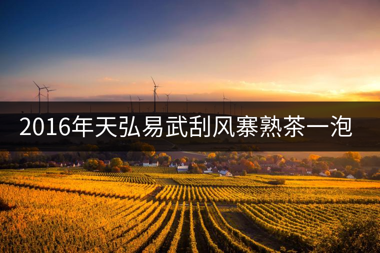 2016年天弘易武刮風(fēng)寨熟茶一泡耐人尋味！
