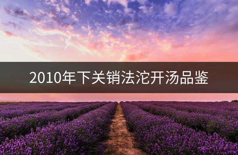 2010年下關(guān)銷法沱開湯品鑒 2010年下關(guān)銷法沱開湯品鑒