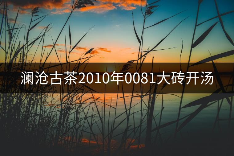 瀾滄古茶2010年0081大磚開湯 瀾滄古茶2010年0081大磚開湯