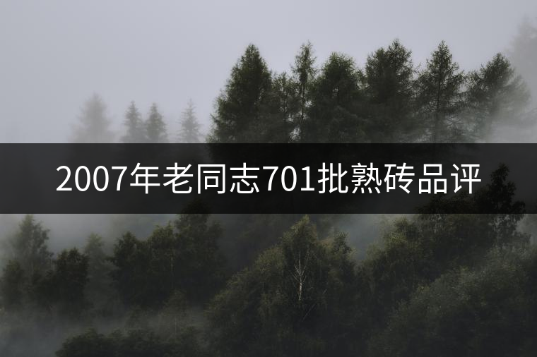 2007年老同志701批熟磚品評 2007年老同志701批熟磚品評