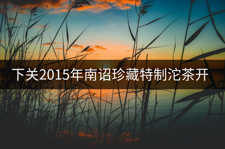 下關2015年南詔珍藏特制沱茶開湯品鑒 下關2015年南詔珍藏特制沱茶開湯品鑒