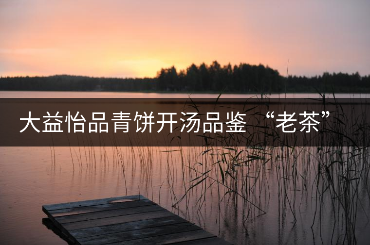 大益怡品青餅開(kāi)湯品鑒 “老茶”韻