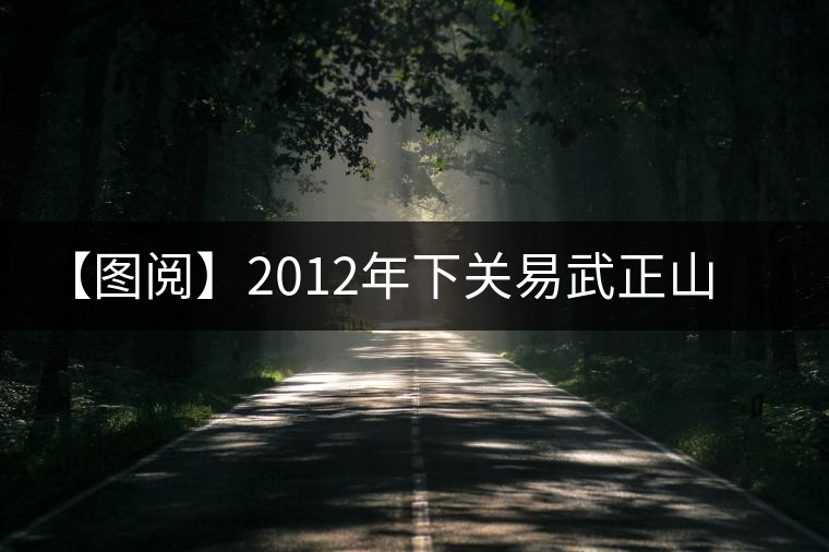 【圖閱】2012年下關(guān)易武正山老樹(shù)沱鑒賞 【圖閱】2012年下關(guān)易武正山老樹(shù)沱鑒賞