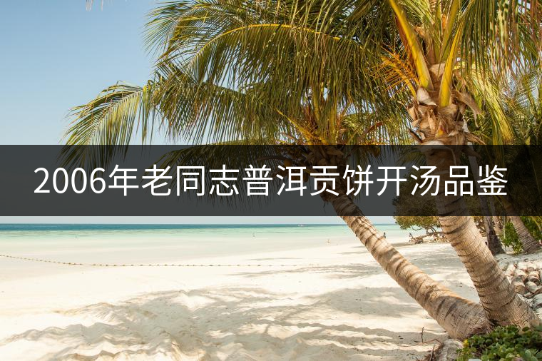2006年老同志普洱貢餅開(kāi)湯品鑒 2006年老同志普洱貢餅開(kāi)湯品鑒