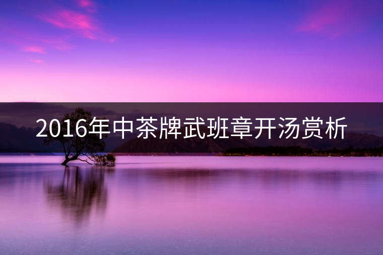 2016年中茶牌武班章開(kāi)湯賞析 2016年中茶牌武班章開(kāi)湯賞析
