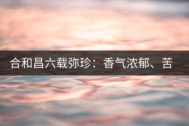 合和昌六載彌珍：香氣濃郁、苦澀均衡