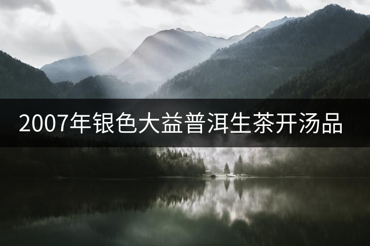2007年銀色大益普洱生茶開湯品鑒 2007年銀色大益普洱生茶開湯品鑒
