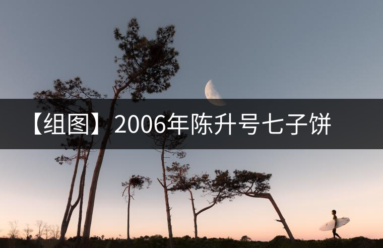 【組圖】2006年陳升號七子餅開湯