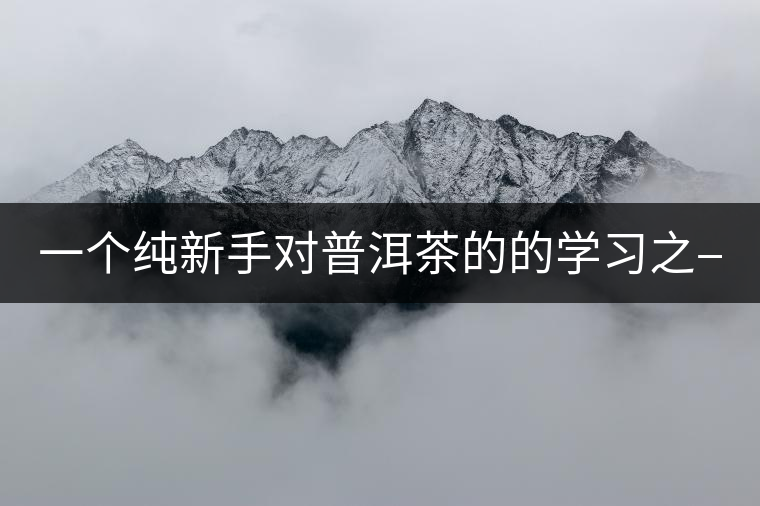 一個純新手對普洱茶的的學習之——【味】 一個純新手對普洱茶的的學習之——【味】