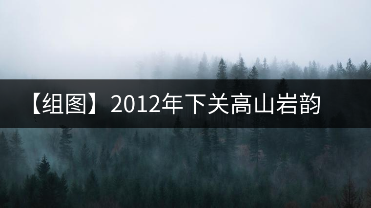 【組圖】2012年下關(guān)高山巖韻餅茶開(kāi)湯 【組圖】2012年下關(guān)高山巖韻餅茶開(kāi)湯