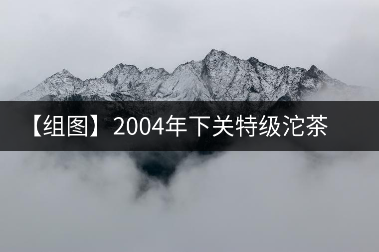 【組圖】2004年下關(guān)特級沱茶開湯 【組圖】2004年下關(guān)特級沱茶開湯