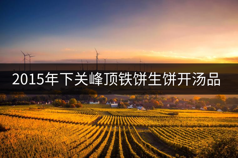 2015年下關(guān)峰頂鐵餅生餅開(kāi)湯品鑒 2015年下關(guān)峰頂鐵餅生餅開(kāi)湯品鑒