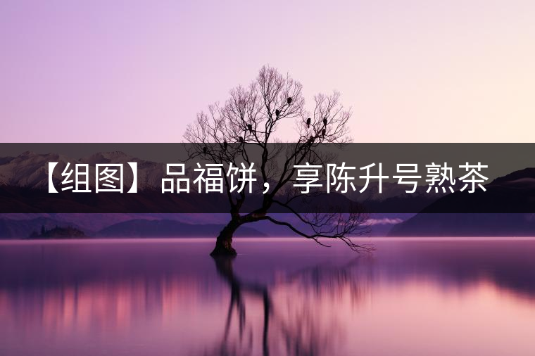 【組圖】品福餅，享陳升號熟茶滋味