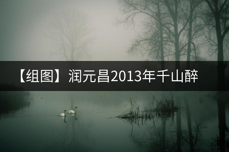 【組圖】潤元昌2013年千山醉喬木餅開湯 【組圖】潤元昌2013年千山醉喬木餅開湯