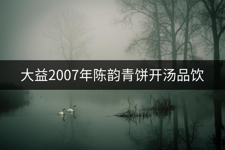 大益2007年陳韻青餅開湯品飲 大益2007年陳韻青餅開湯品飲
