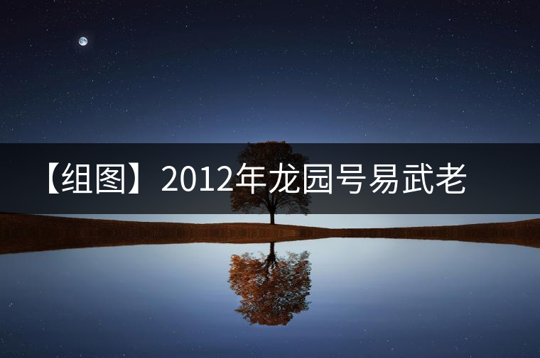【組圖】2012年龍園號(hào)易武老樹餅茶開湯 【組圖】2012年龍園號(hào)易武老樹餅茶開湯