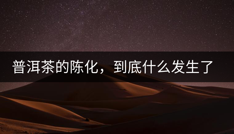 普洱茶的陳化，到底什么發(fā)生了哪些變化？