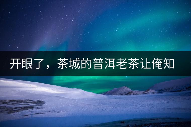 開(kāi)眼了，茶城的普洱老茶讓俺知道了老茶樹(shù)