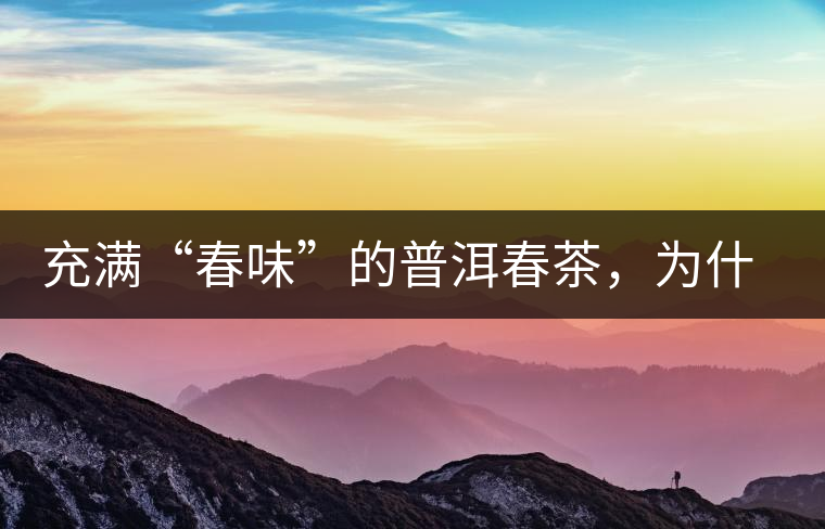 充滿“春味”的普洱春茶，為什么值得期待？