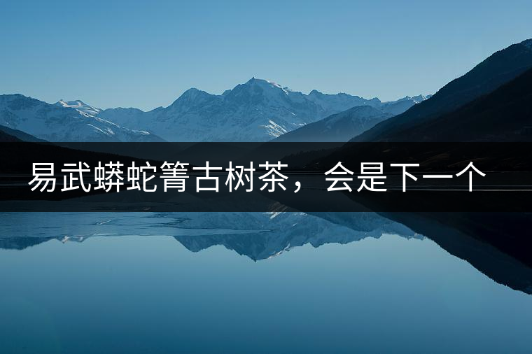 易武蟒蛇箐古樹(shù)茶，會(huì)是下一個(gè)銅箐河嗎？