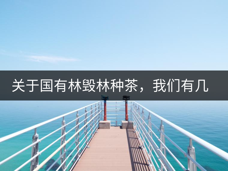 關(guān)于國有林毀林種茶,我們有幾點不得不說 關(guān)于國有林毀林種茶,我們有幾點不得不說