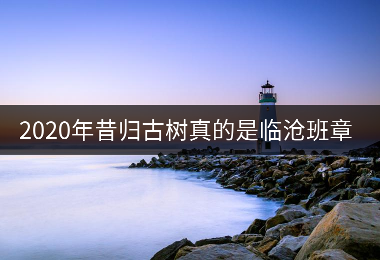 2020年昔歸古樹真的是臨滄班章嗎？