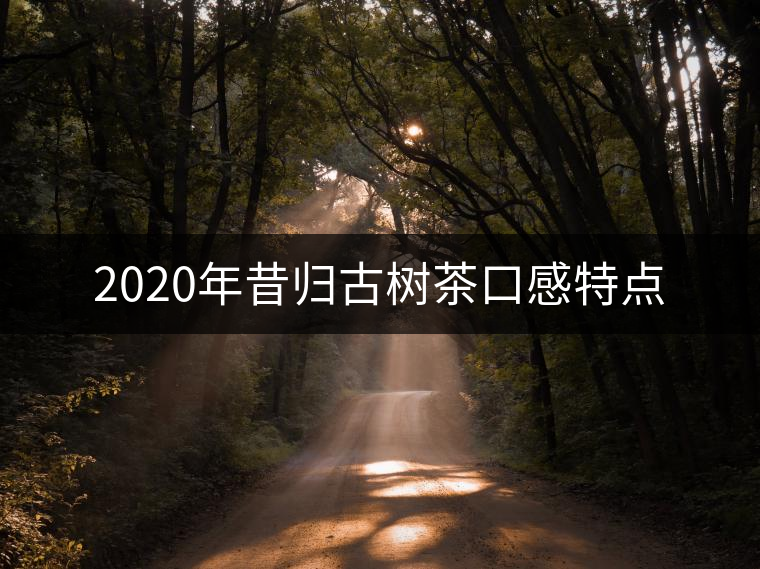 2020年昔歸古樹茶口感特點(diǎn) 2020年昔歸古樹茶口感特點(diǎn)