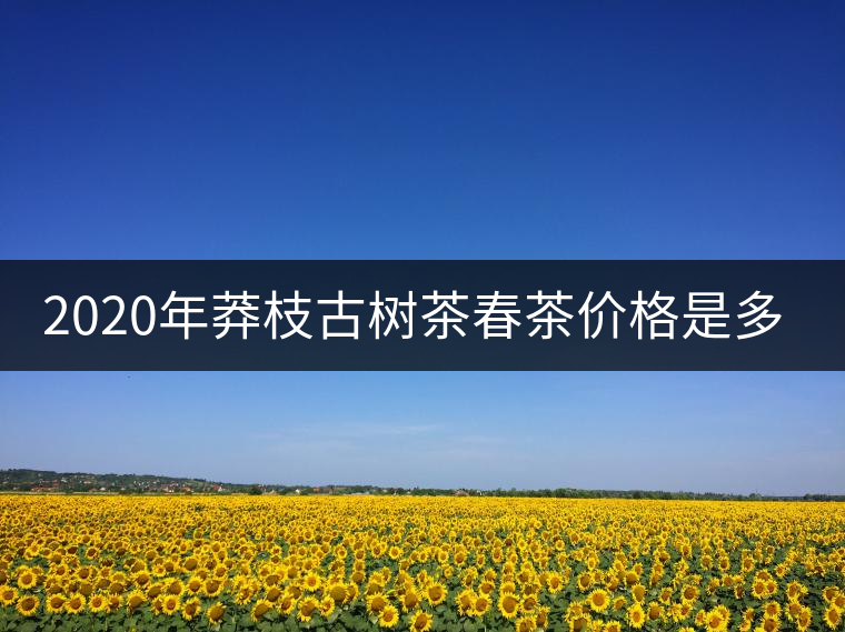 2020年莽枝古樹茶春茶價(jià)格是多少錢？