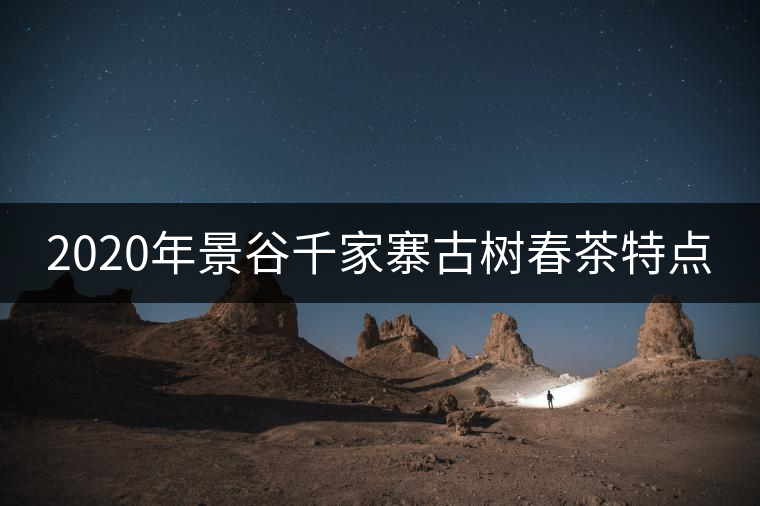 2020年景谷千家寨古樹春茶特點